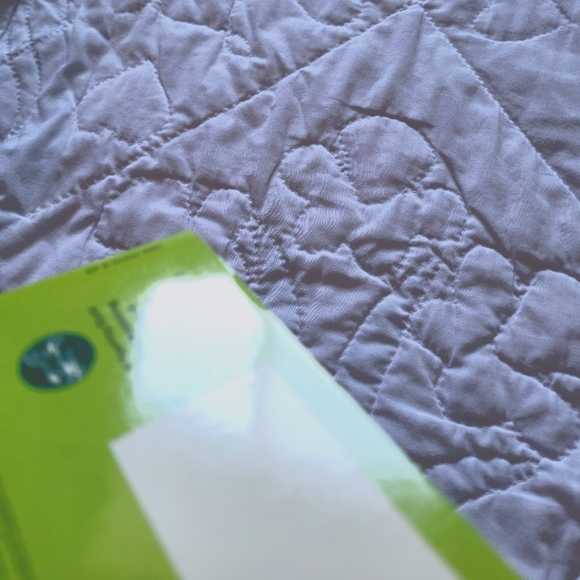 2/$15 🌼 The Sign Of The Beaver - Picture 3 of 4